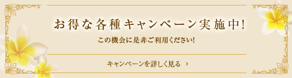 キャンペーン実施中！